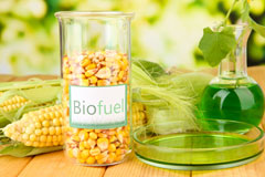 Burtonwood biofuel availability