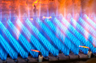 Burtonwood gas fired boilers